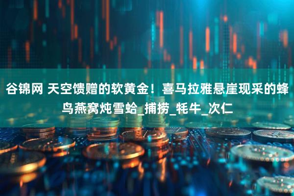 谷锦网 天空馈赠的软黄金！喜马拉雅悬崖现采的蜂鸟燕窝炖雪蛤_捕捞_牦牛_次仁