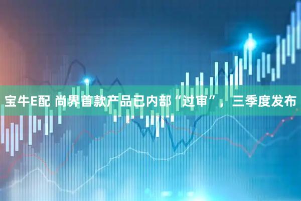 宝牛E配 尚界首款产品已内部“过审”，三季度发布