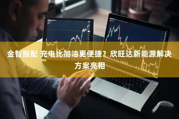 金智股配 充电比加油更便捷？欣旺达新能源解决方案亮相