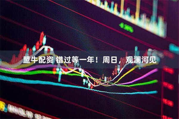 盟牛配资 错过等一年！周日，观澜河见