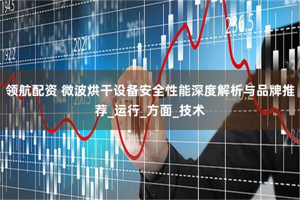 领航配资 微波烘干设备安全性能深度解析与品牌推荐_运行_方面_技术