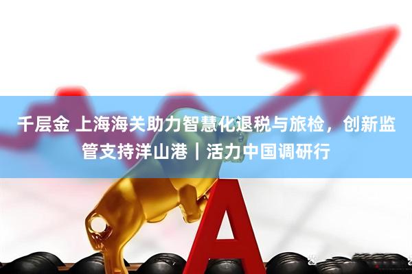 千层金 上海海关助力智慧化退税与旅检，创新监管支持洋山港｜活力中国调研行