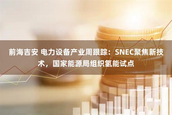 前海吉安 电力设备产业周跟踪：SNEC聚焦新技术，国家能源局组织氢能试点