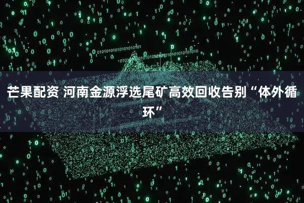 芒果配资 河南金源浮选尾矿高效回收告别“体外循环”