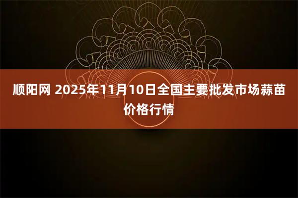 顺阳网 2025年11月10日全国主要批发市场蒜苗价格行情