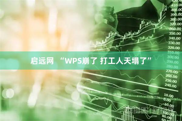 启远网  “WPS崩了 打工人天塌了”